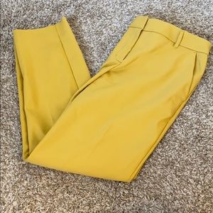 Express columnist dress pants